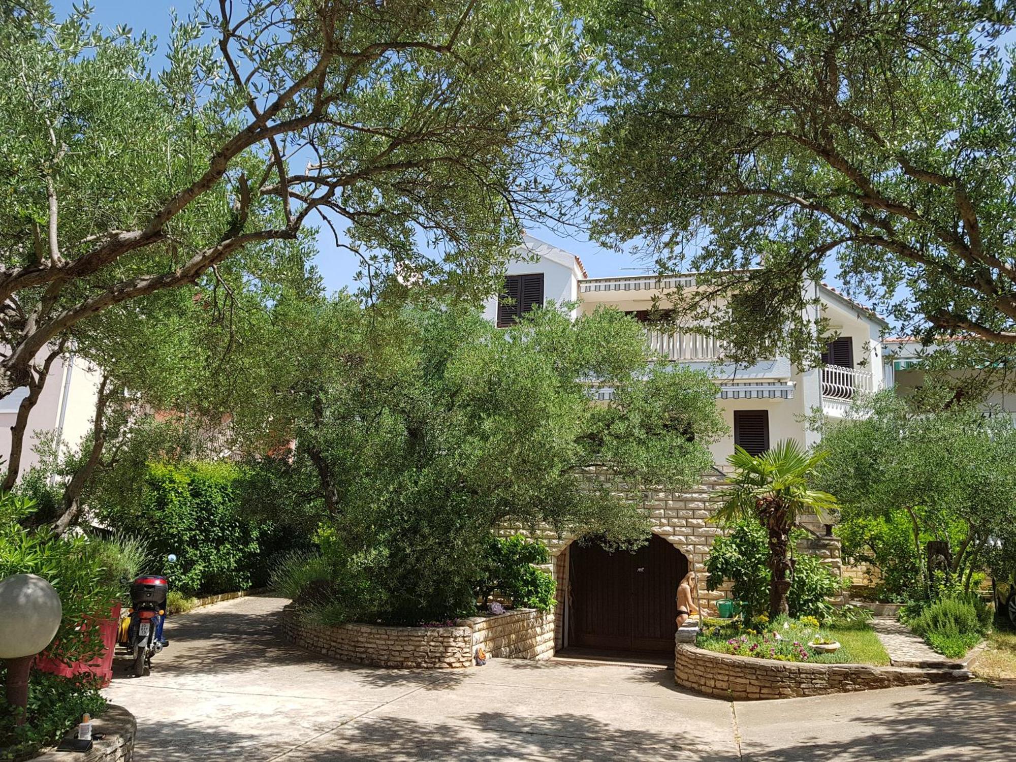Apartmani Maver Sveti Filip i Jakov Exterior foto